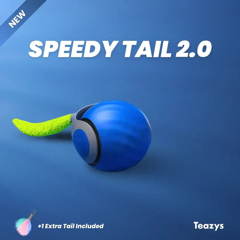 Speedy Tail 2.0 – ¡Diversión a Toda Velocidad para tu Gato! 🐾🎉