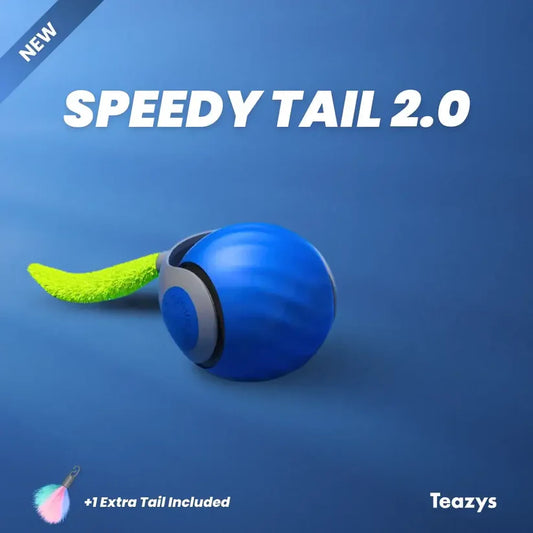 Speedy Tail 2.0 – ¡Diversión a Toda Velocidad para tu Gato! 🐾🎉