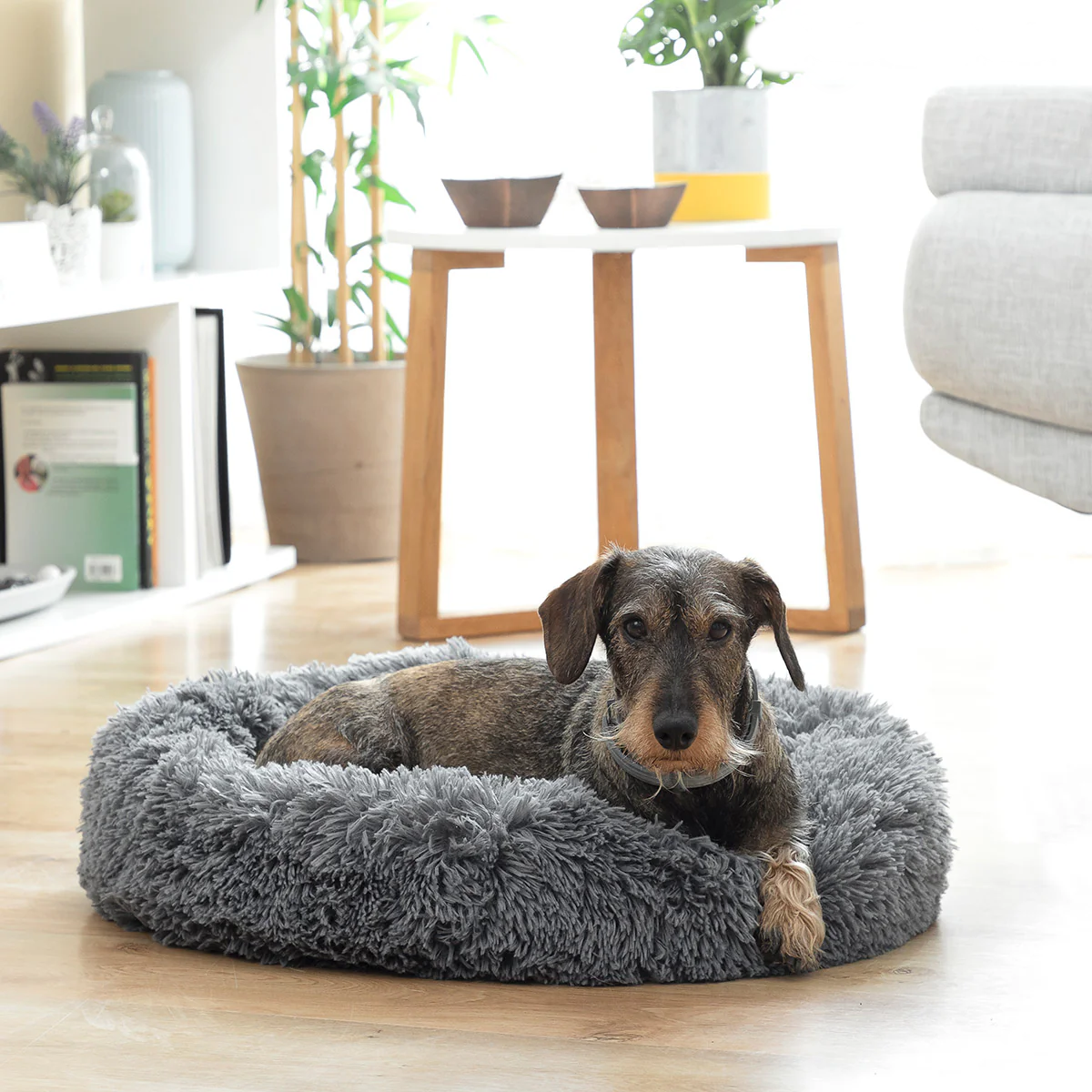 Cama Antiestrés para Mascotas Bepess Ø 60 cm